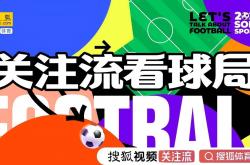 网上买球怎么买 -聊球是一种新时尚 6月12日凌晨3点 相聚搜狐视频关注流猜揭幕战比分