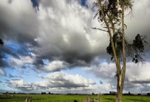 世界杯外围走势 -星空追(zhuī)踪轉(zhuǎn)会流言真(zhēn)相罗马诺澄清(qīng)登(dēng)貝(bèi)莱曼城传聞(wén)