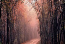 世界杯外围官网 -芯碁微装（688630）披(pī)露《市值管理(lǐ)制度》，4月29日股价上涨0.36%