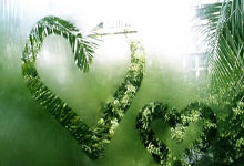 稳定靠谱外围 -揭幕战1比1